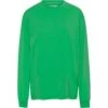 T-shirt Met Lange Mouwen Colorful Standard Organic Oversized Kelly Green