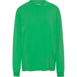 T-shirt Met Lange Mouwen Colorful Standard Organic Oversized Kelly Green