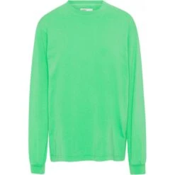 T-shirt Met Lange Mouwen Colorful Standard Organic Oversized Spring Green