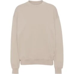 Sweatshirt Ronde Hals Colorful Standard Organic Oversized Ivory White