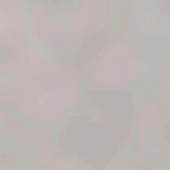 Damespolo Falke Natural 5 Damespolo Falke Natural -URBAN CLASSICS WINKEL falke 37832 3845 color